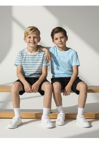 Sinsay - Koszulki z krótkim rękawem 2 pack - błękitny. Kolor: niebieski. Długość rękawa: krótki rękaw. Długość: krótkie #1