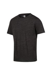 Regatta - Męski t-shirt Fingal brązowy. Kolor: wielokolorowy, szary, niebieski, brązowy. Materiał: poliester. Długość rękawa: krótki rękaw. Długość: krótkie. Sport: turystyka piesza #1