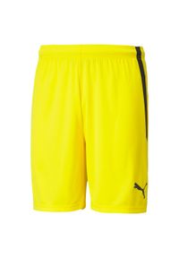 Spodenki męskie Puma teamLIGA. Kolor: żółty, wielokolorowy, czarny