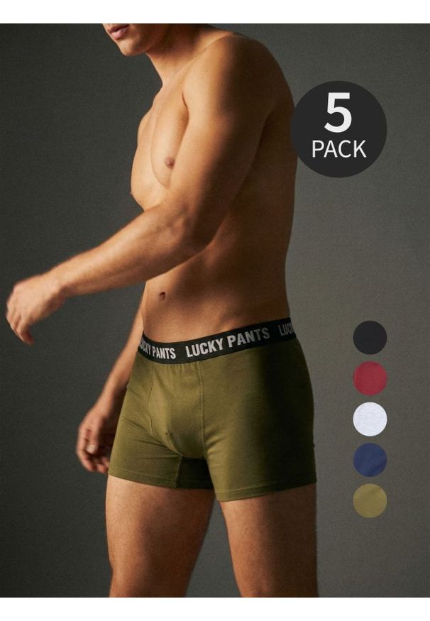 Sinsay - Bawełniane bokserki long 5 pack - wielobarwny. Materiał: bawełna