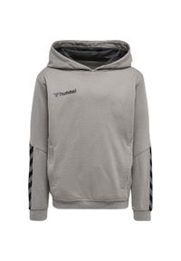 Bluza do piłki ręcznej dla dzieci Hummel hmlAUTHENTIC Poly. Kolor: szary, wielokolorowy, biały. Sezon: zima #1