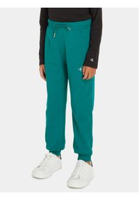 Calvin Klein Jeans Spodnie dresowe Monogram Logo IU0IU00285 Zielony Regular Fit. Kolor: zielony. Materiał: bawełna #1
