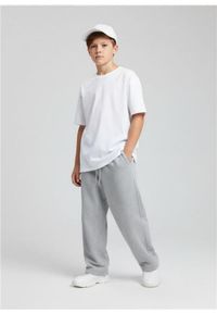 Sinsay - Spodnie dresowe straight - szary. Kolor: szary. Materiał: dresówka #1