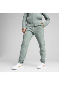 Puma - Damskie spodnie dresowe EVOSTRIPE PUMA Green Moon. Kolor: zielony. Materiał: dresówka. Sport: turystyka piesza