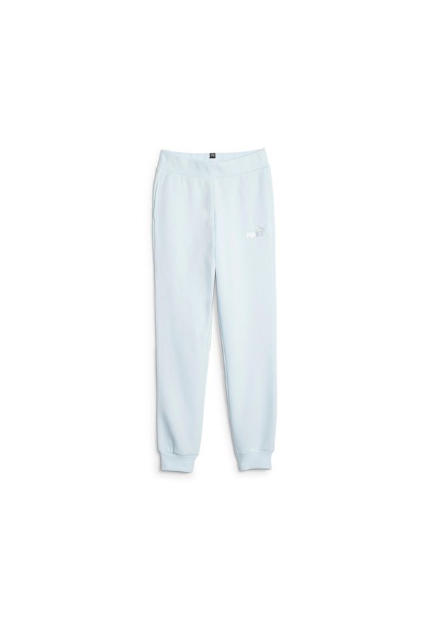 Puma Spodnie Ess+ Fl Cl 67211469. Kolor: niebieski