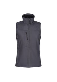 Regatta - Ocieplana Damska Softshell. Kolor: szary. Materiał: softshell