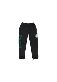 Spodnie sportowe męskie Mitchell & Ness Champ City Fleece Boston Celtics. Kolor: wielokolorowy. Materiał: dresówka. Sezon: lato. Sport: turystyka piesza
