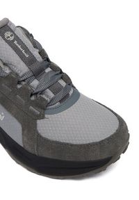 Timberland Sneakersy Erkek Ayakkabı TB0A6F2EEJR1 Szary. Kolor: szary. Materiał: materiał #4