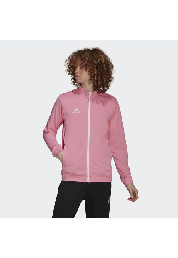 Adidas - Entrada 22 Track Jacket. Kolor: biały, wielokolorowy, różowy. Materiał: dresówka, materiał. Sport: fitness, piłka nożna