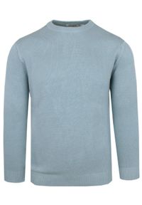 Męski Sweter z Dzianiny Bawełnianej - Colosseo - Zgaszony Błękit. Okazja: na spotkanie biznesowe, na co dzień. Kolor: niebieski. Materiał: bawełna. Styl: casual, elegancki, biznesowy #1