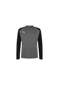 Puma - Męska Koszulka Bramkarska TeamPACER Z Długim Rękawem. Kolor: szary, wielokolorowy, czarny. Długość rękawa: długi rękaw. Długość: długie. Sport: turystyka piesza #1