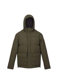 Regatta - Kurtka turystyczna męska Falkner pikowana. Typ kołnierza: kaptur. Kolor: wielokolorowy, zielony, brązowy. Materiał: poliester. Sport: turystyka piesza #1