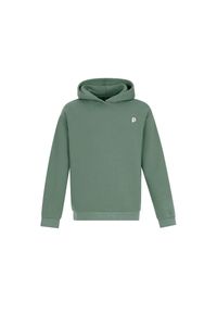 Bluza z kapturem Protest RRoman. Typ kołnierza: kaptur. Kolor: zielony #1