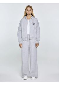 Big-Star - Bluza damska z kapturem rozpinana szara Madelina 901. Typ kołnierza: kaptur. Kolor: szary. Materiał: dzianina, dresówka. Wzór: aplikacja, haft. Styl: sportowy, elegancki