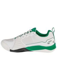 Wilson - Buty do tenisa męskie, Rush Pro 4.5 Clay. Kolor: biały. Materiał: guma, materiał, tkanina, syntetyk. Sport: tenis