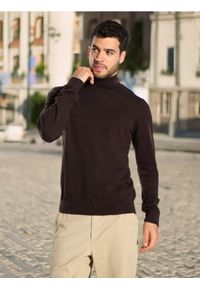 Sinsay - Sweter z golfem - brązowy. Typ kołnierza: golf. Kolor: brązowy. Długość rękawa: długi rękaw. Długość: długie. Styl: klasyczny #1