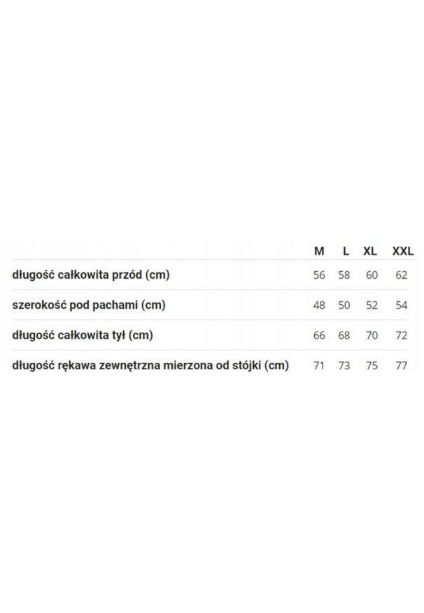 ROUGH RADICAL - Koszulka szybkoschnąca fitness męska Rough Radical Stone LS. Kolor: niebieski. Długość rękawa: długi rękaw. Sport: fitness