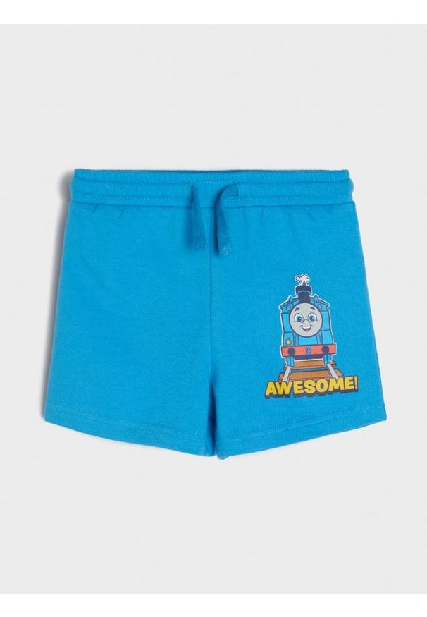 Sinsay - Szorty Thomas&Friends - Inny