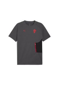 Puma - Męska koszulka AC Milan PUMATECH z kieszenią PUMA Shadow Gray For All Time Red. Kolor: czerwony, szary, wielokolorowy. Sport: piłka nożna