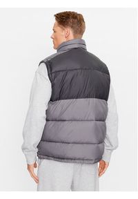 columbia - Columbia Bezrękawnik Pike Lake™ II Vest Szary Regular Fit. Kolor: szary. Materiał: syntetyk. Długość rękawa: bez rękawów #5