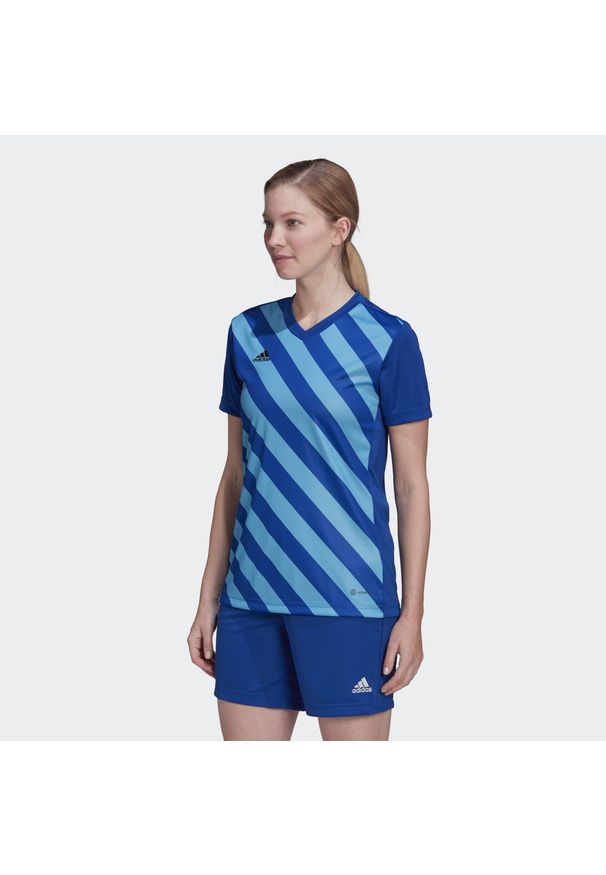 Adidas - Entrada 22 Graphic Jersey. Kolor: niebieski. Materiał: jersey. Sport: piłka nożna