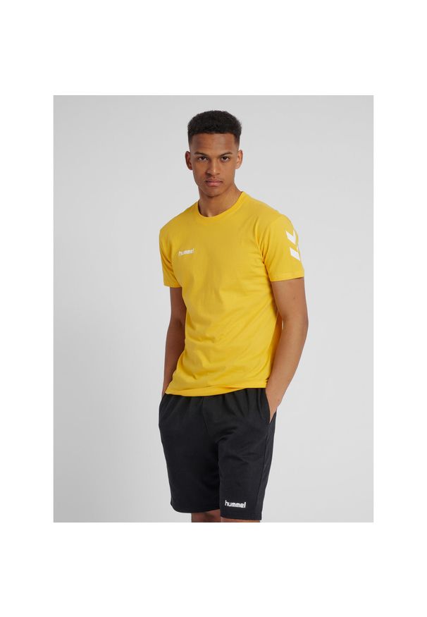 Koszulka sportowa z krótkim rękawem męska Hummel hmlGO cotton. Kolor: żółty, pomarańczowy, wielokolorowy. Długość rękawa: krótki rękaw. Długość: krótkie. Sport: piłka nożna