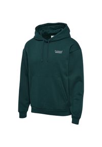 Bluza z kapturem Hummel Loose. Typ kołnierza: kaptur. Kolor: zielony. Sport: fitness #1