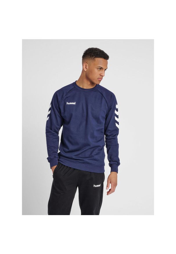 Bluza do piłki ręcznej męska Hummel Go Cotton Sweatshirt. Kolor: niebieski