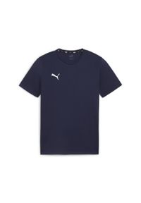 Koszulka męska Puma Team Goal Casuals Tee. Kolor: niebieski. Materiał: materiał
