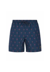 Szorty kąpielowe Protest Prtalvis. Kolor: niebieski #1