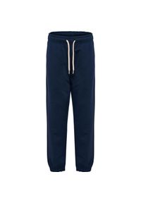 Spodnie dziecięce Hummel Bee. Kolor: niebieski #1
