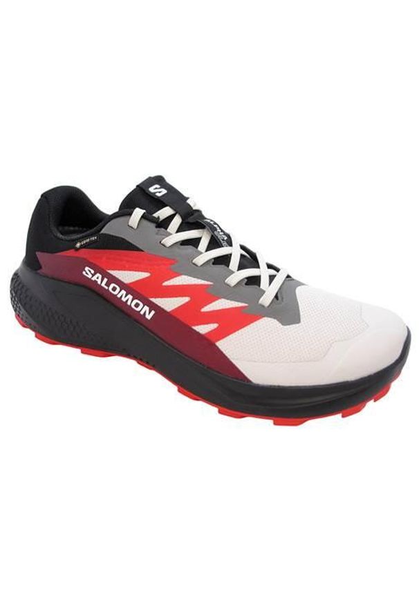 salomon - Buty do biegania męskie Salomon Alphaglide Gtx. Kolor: wielokolorowy. Materiał: materiał, syntetyk. Szerokość cholewki: normalna