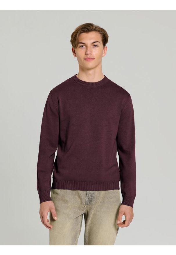 Sinsay - Sweter z długim rękawem - bordowy. Kolor: czerwony. Długość rękawa: długi rękaw. Długość: długie