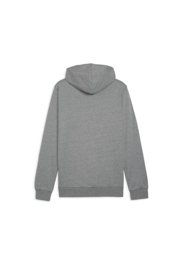 Bluza sportowa męska Puma B23611. Typ kołnierza: kaptur. Kolor: szary