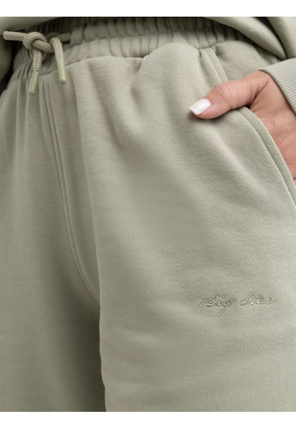 Big-Star - Spodnie damskie dresowe pistacjowe Foxie 302/ Megan 302. Kolor: zielony. Materiał: dresówka. Wzór: haft