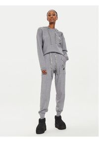 Fracomina Sweter FJ24WT7001K468E5 Szary Regular Fit. Kolor: szary. Materiał: syntetyk, wiskoza