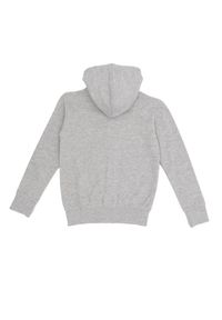 LEONE 1947 APPAREL - Bluza dziecięca z kapturem i zamkiem Basic. Typ kołnierza: kaptur. Kolor: szary. Sport: joga i pilates