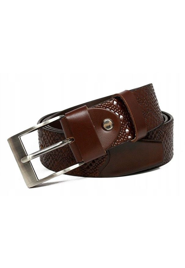 ROVICKY - Pasek skórzany Rovicky PRS-03-BGE brązowy. Kolor: brązowy. Materiał: skóra. Wzór: aplikacja. Styl: klasyczny, elegancki, casual