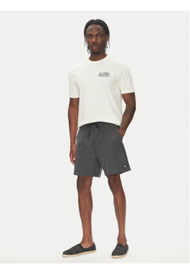 Billabong Szorty kąpielowe Every Other Day Lb EBYJV00145 Szary Regular Fit. Kolor: szary. Materiał: syntetyk