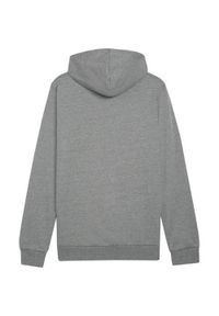 Bluza sportowa męska Puma B23611. Typ kołnierza: kaptur. Kolor: szary