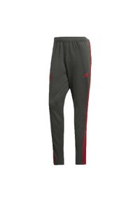 Spodnie sportowe Adidas FC Bayern Tr Pnt. Kolor: czerwony, szary, wielokolorowy. Materiał: dresówka. Sport: piłka nożna