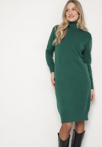 Born2be - Zielona Dzianinowa Sukienka z Bawełną o Prostym Kroju z Golfem Tesala. Okazja: na spotkanie biznesowe, do pracy. Typ kołnierza: golf. Kolor: zielony. Materiał: dzianina, bawełna. Wzór: jednolity. Typ sukienki: proste. Styl: klasyczny, biznesowy #1