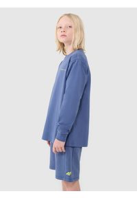 4f - 4F Longsleeve regular z nadrukiem chłopięcy - niebieski 164 (13-14 lat). Okazja: na co dzień. Kolor: niebieski. Materiał: bawełna, dzianina, jersey. Długość rękawa: długi rękaw. Długość: długie. Wzór: nadruk. Sezon: lato. Styl: klasyczny, casual, sportowy #1