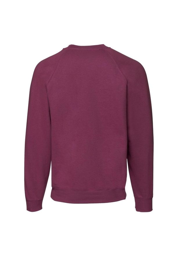 FRUIT OF THE LOOM - Męska Klasyczna Bluza Raglanowa. Kolor: czerwony, wielokolorowy, brązowy. Długość rękawa: raglanowy rękaw