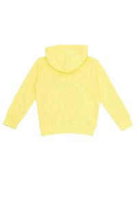 LEONE 1947 APPAREL - Podstawowa bluza dziecięca z kapturem. Typ kołnierza: kaptur. Kolor: zielony, wielokolorowy, żółty. Sport: joga i pilates