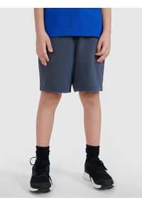 4f - 4F Spodenki dresowe chłopięce - szare 140 (9-10 lat). Okazja: na co dzień. Kolor: szary. Materiał: dresówka. Długość: krótkie. Wzór: napisy, gładki, ze splotem. Sezon: lato. Styl: casual, sportowy #2
