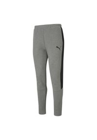 Spodnie dresowe Puma Evostripe Core. Kolor: szary. Materiał: dresówka. Sport: fitness #1