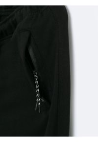 Big-Star - Spodnie męskie dresowe Pylyp 906. Kolor: czarny. Materiał: dresówka #3