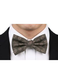 Mucha Męska w Zestawie z Poszetką - Alties - Popiel i Brąz, Paisley. Kolor: beżowy, wielokolorowy, brązowy. Wzór: paisley. Styl: elegancki, sportowy #3