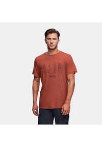 Koszulka męska Alpinus Four seasons. Kolor: pomarańczowy. Materiał: bawełna. Długość rękawa: krótki rękaw. Długość: krótkie #1